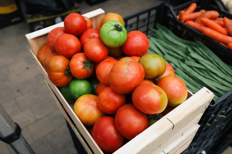 Impacto extendido en Valencia: Apoyo a la recuperación tras las inundaciones de DANA