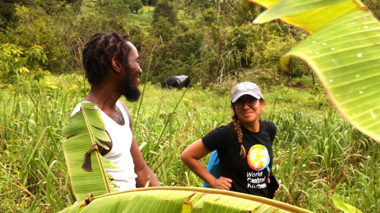 Communities on the mend after Hurricane Beryl