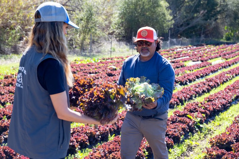 The impact of a wildfire extends far beyond the burn radius. Local economies and agricultural systems can take months—sometimes years—to recover. WCK is committed to sourcing from local farmers wherever possible, keeping money flowing back into communities and ensuring families have access to the food they know and love.